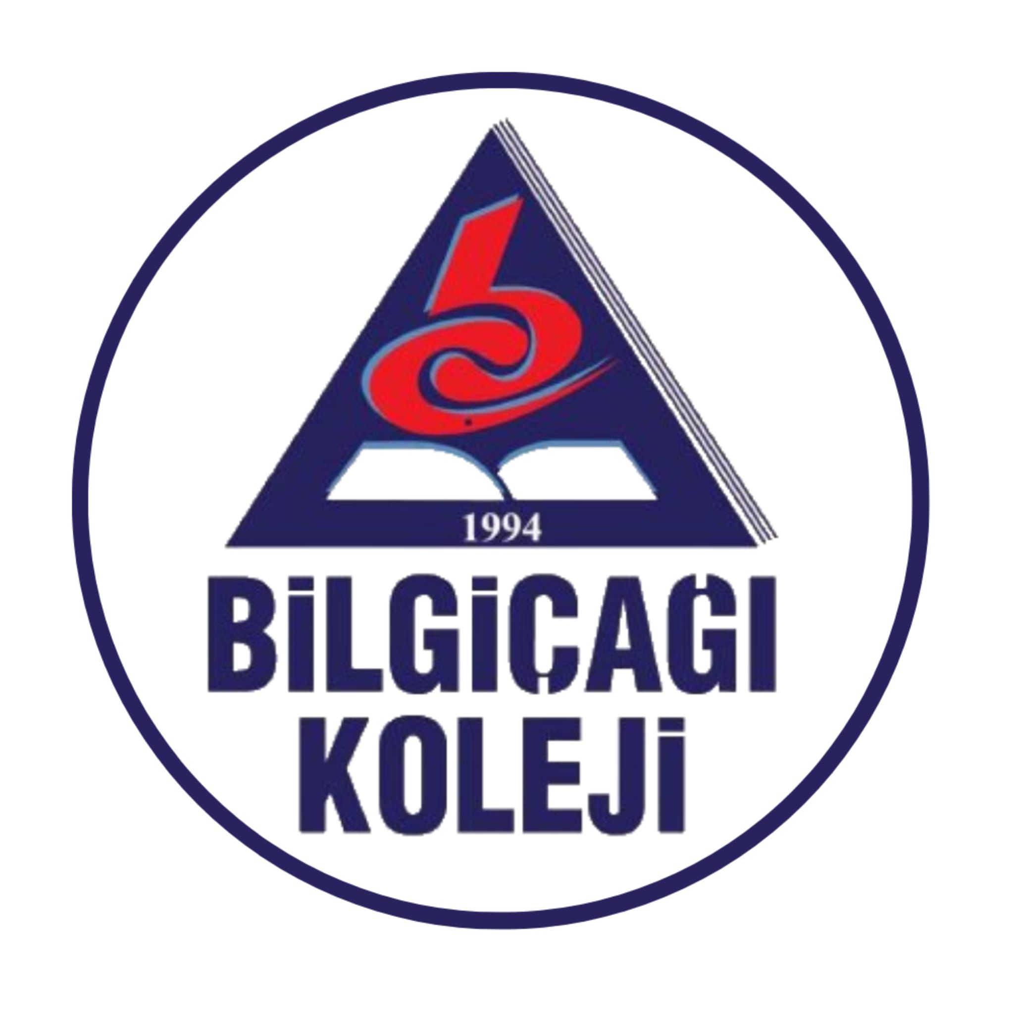 Bilgi Çağı